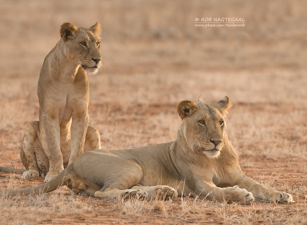 Discover the Hidden Gem of Tanzania