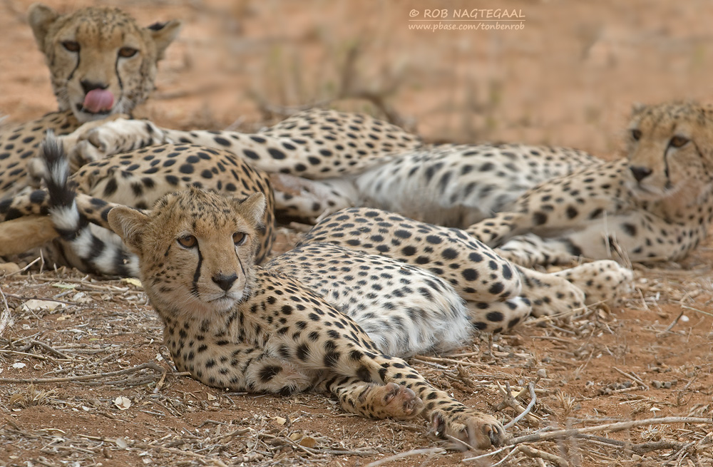 Tarangire National Park