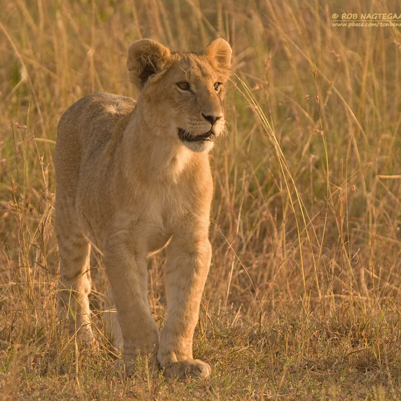 Kidepo Valley National Park