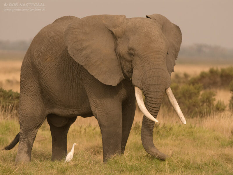 Mount Elgon National Park