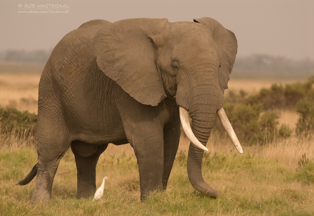Mount Elgon National Park