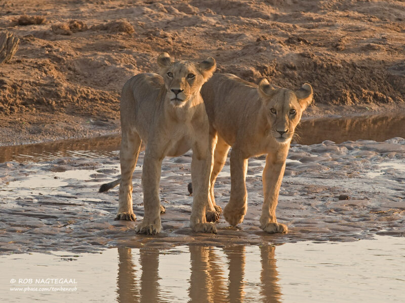 Murchison Falls National Park