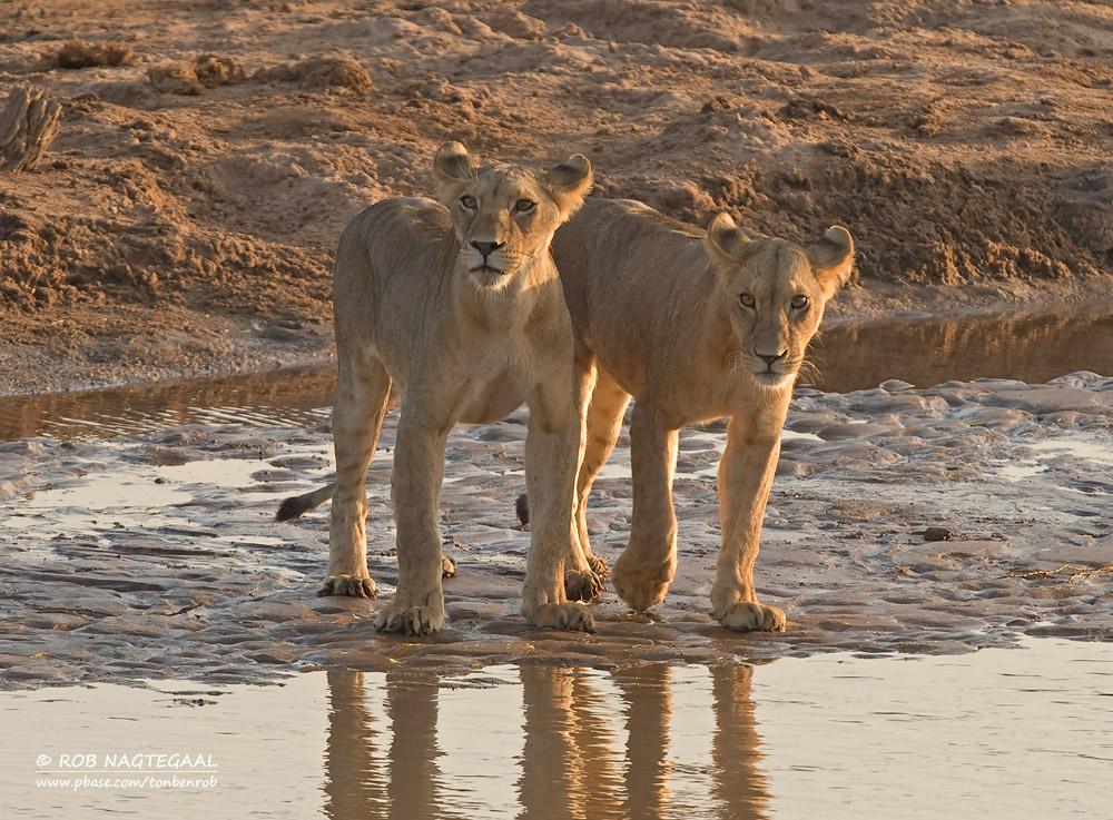 Murchison Falls National Park