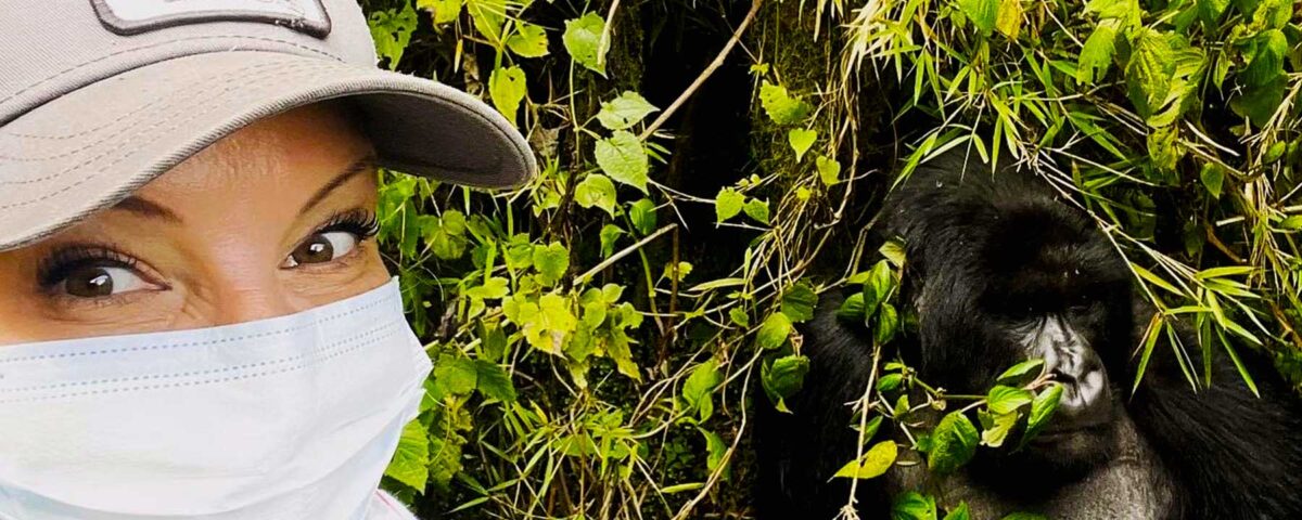Uganda Gorilla Trekking Safaris