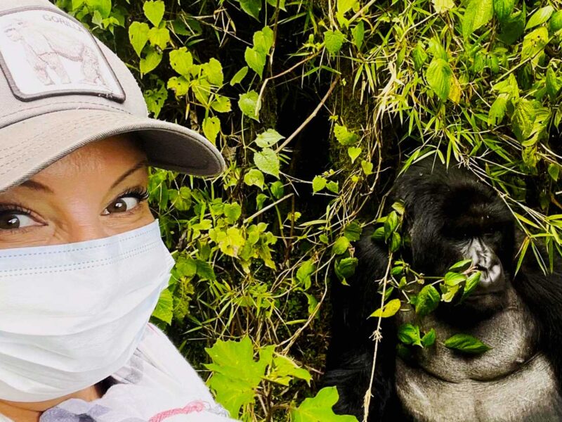 Uganda Gorilla Trekking Safaris