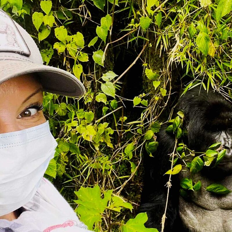 Uganda Gorilla Trekking Safaris