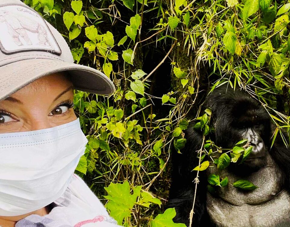 Uganda Gorilla Trekking Safaris