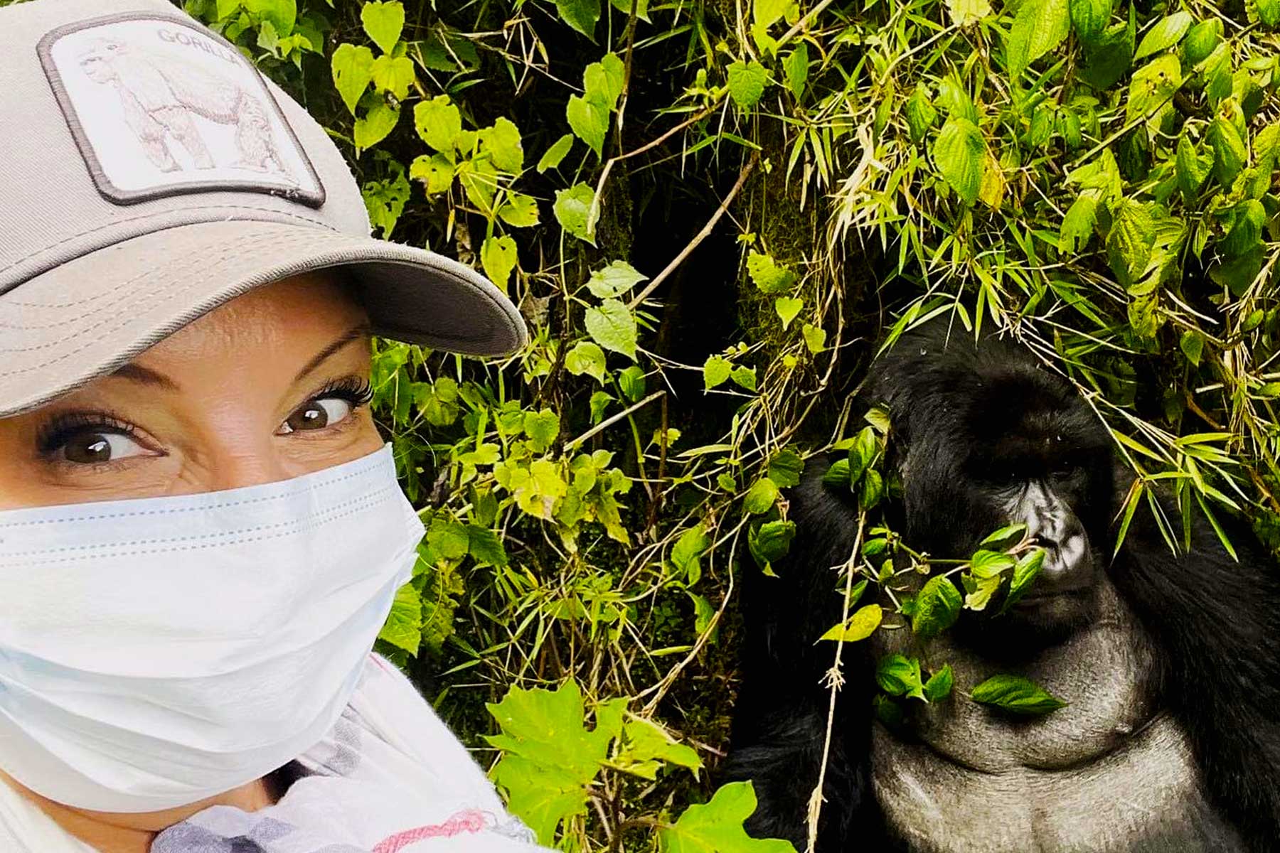 Uganda Gorilla Trekking Safaris