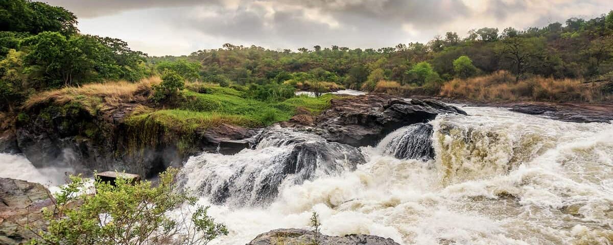 What is Murchison Falls National Park Known For? 
