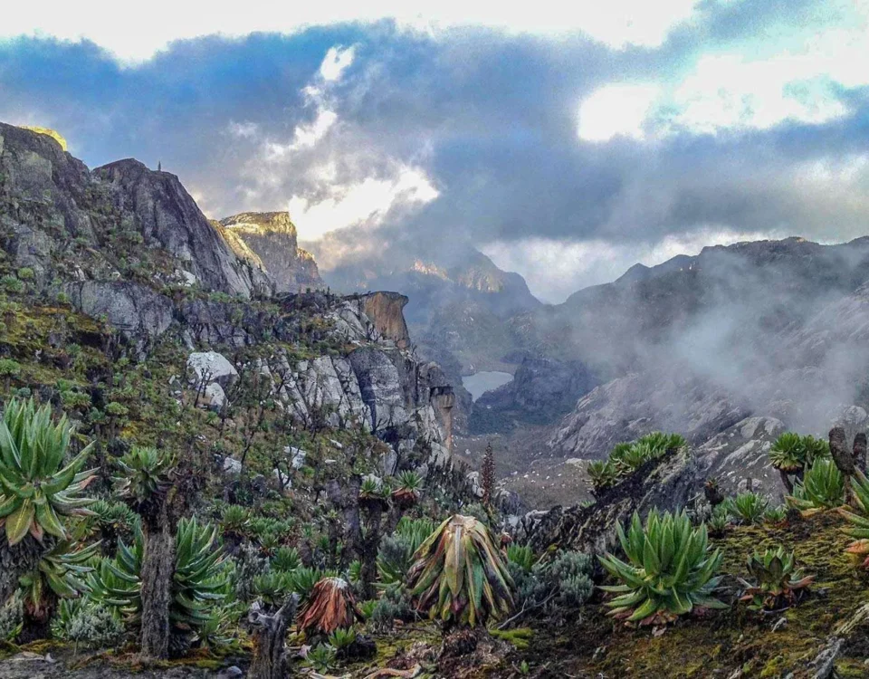 Mountain Climbing and Hiking in Uganda