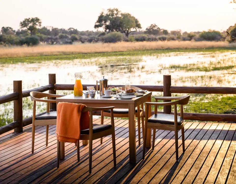 What Are the Most Memorable Experiences That Define a Luxury Safari?