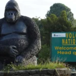 What Are the Interesting Facts About Volcanoes National Park?