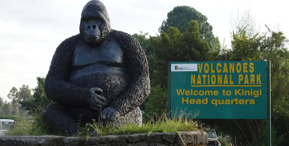 What Are the Interesting Facts About Volcanoes National Park?