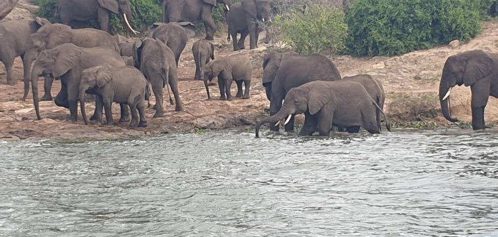 Best Guide to Kidepo Valley National Park