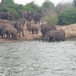 Best Guide to Kidepo Valley National Park