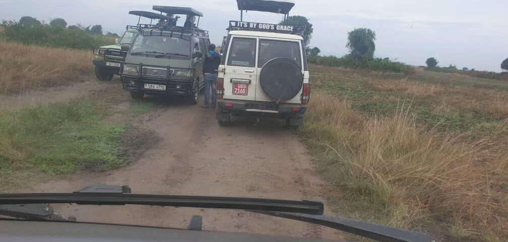 Are game drives included in safari packages?