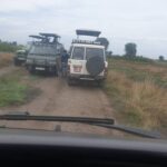 Are game drives included in safari packages?