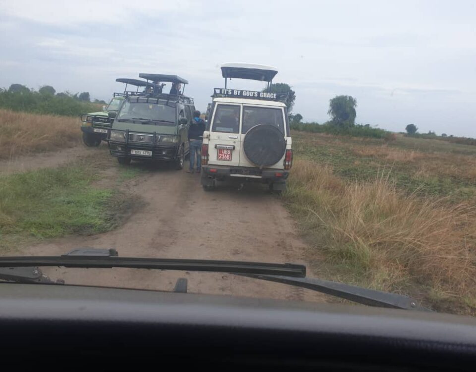 Are game drives included in safari packages?