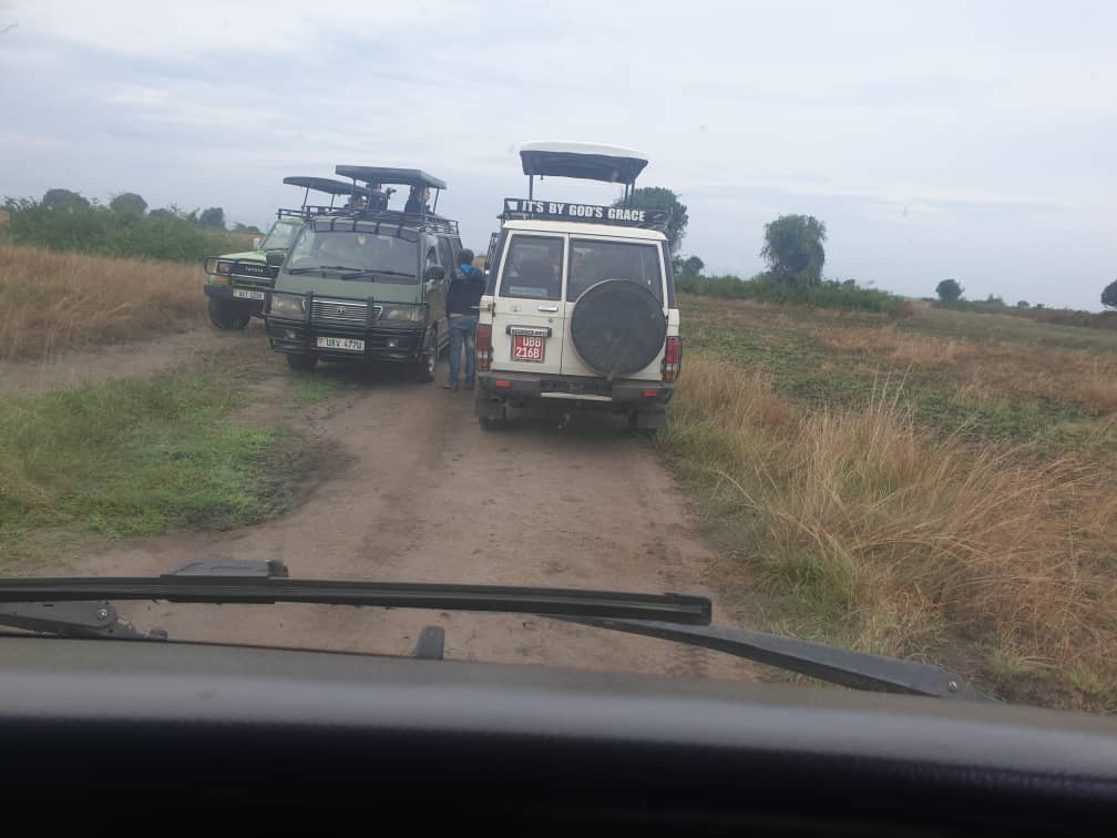 Are game drives included in safari packages?