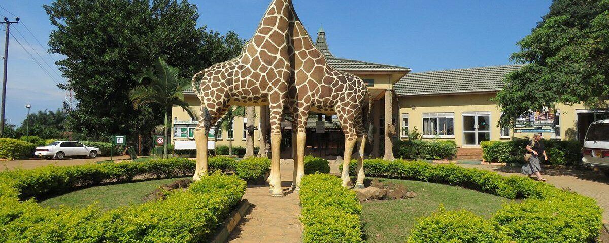 Visit Uganda Wildlife Education Centre (UWEC) – A Gateway to Uganda's Natural Wonders