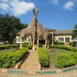 Visit Uganda Wildlife Education Centre (UWEC) – A Gateway to Uganda's Natural Wonders
