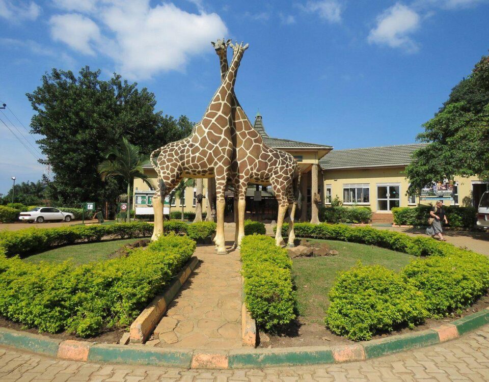 Visit Uganda Wildlife Education Centre (UWEC) – A Gateway to Uganda's Natural Wonders