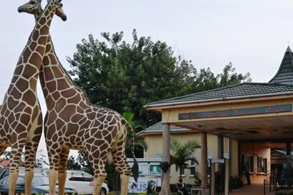 Day Trip to Entebbe Zoo 