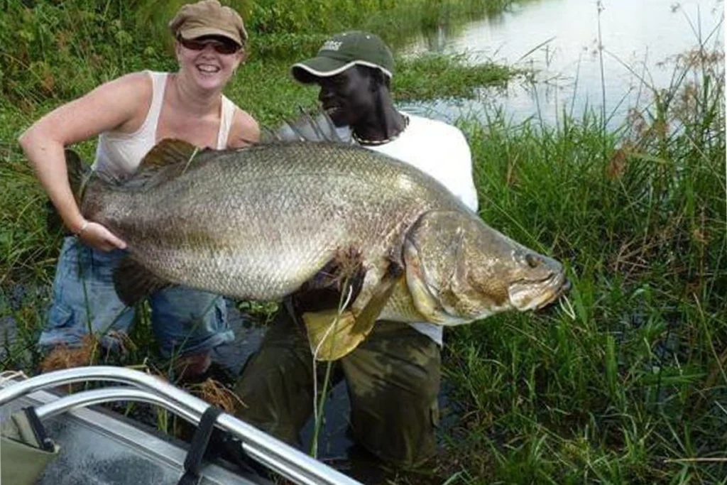 Nile Perch Fishing in Murchison Falls 