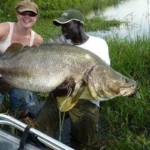 Nile Perch Fishing in Murchison Falls 