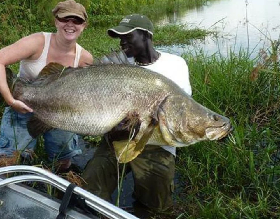 Nile Perch Fishing in Murchison Falls 