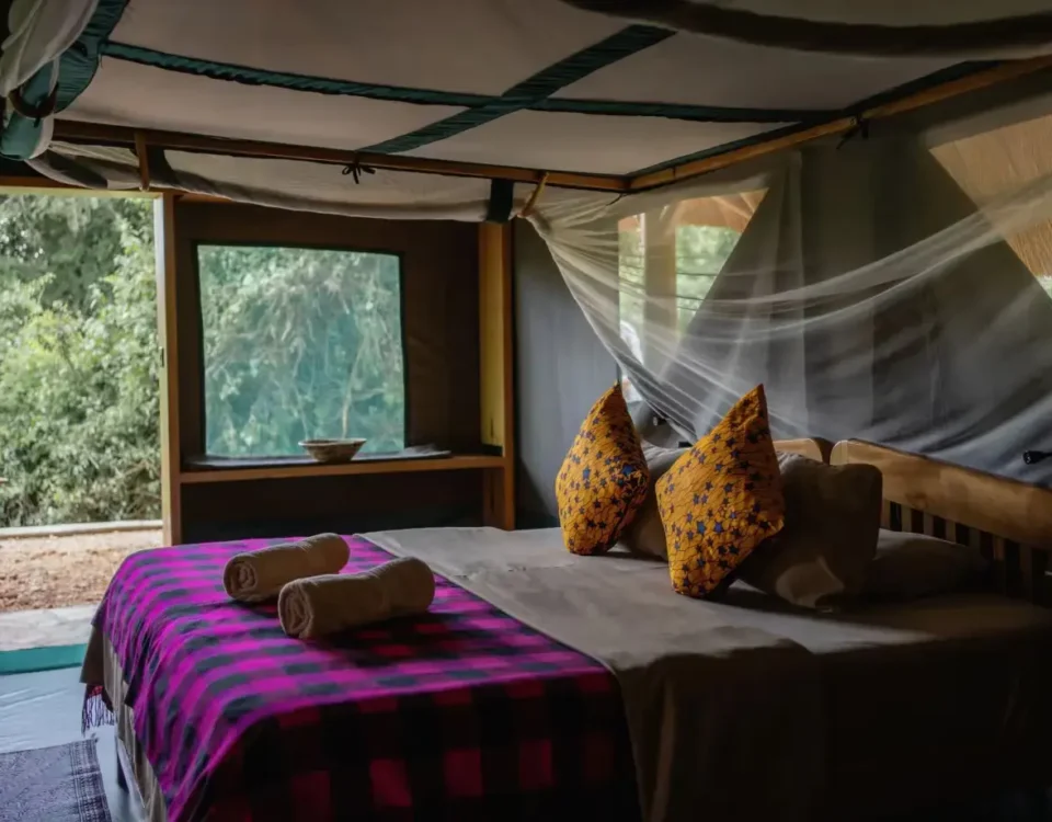Are There Family-Friendly Lodges in Murchison Falls?