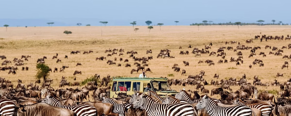 When is the Best Time to Visit Serengeti National Park?
