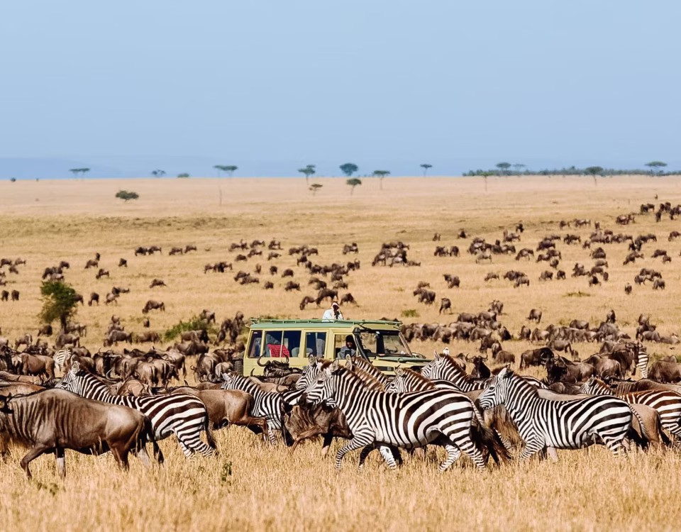When is the Best Time to Visit Serengeti National Park?
