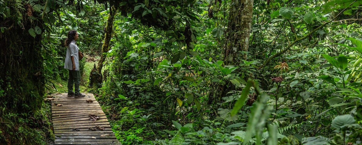 Are Birding Safaris Available in Private Reserves?