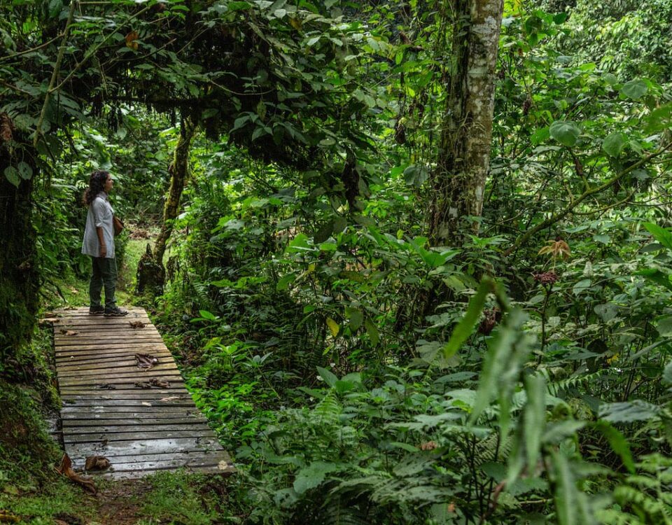 Are Birding Safaris Available in Private Reserves?